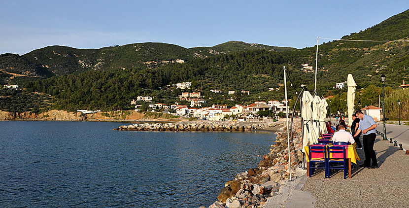 Takis - Sophie Studios & Apartments. Skopelos.