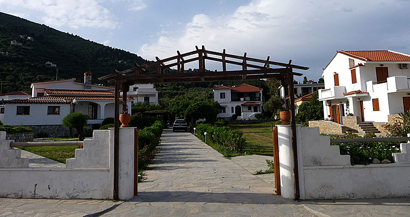 Sophie Studios & Apartments (Del Sol). Skopelos.