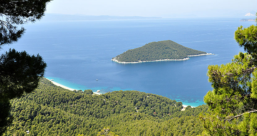 Milia beach på Skopelos.