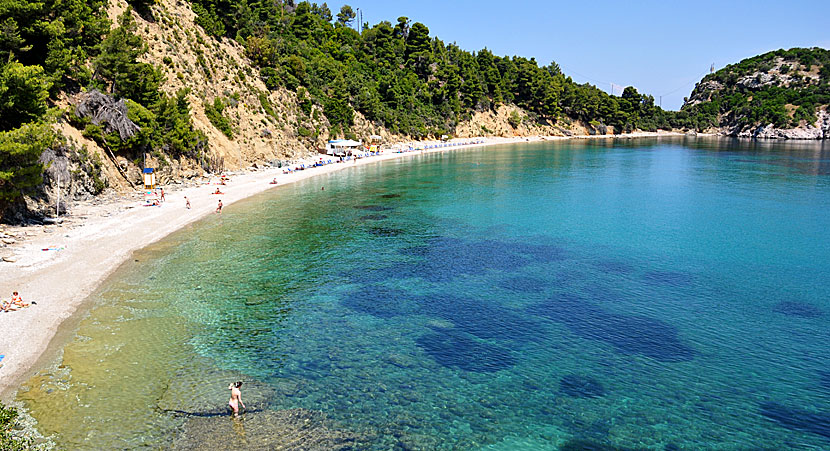 Stafilos beach. Skopelos.