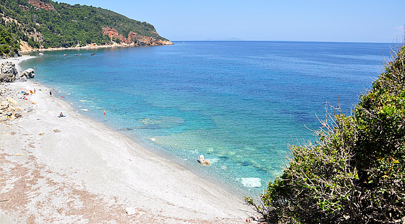 Velanio beach. Stafilos. Skopelos.