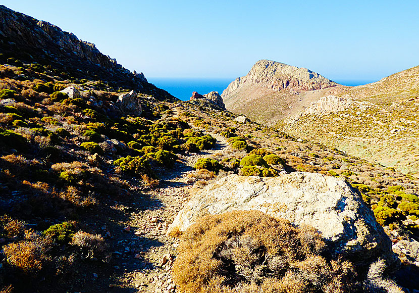 Vandringen ner till Tholos beach på Tilos tar mellan 40 och 50 minuter. 