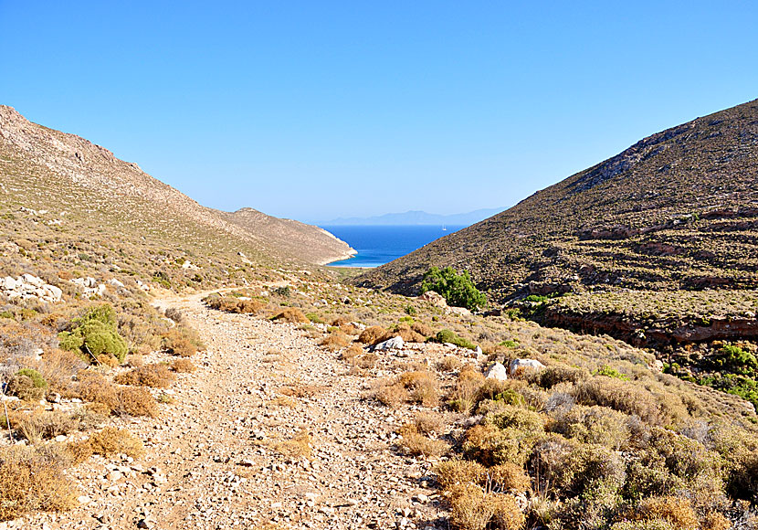 Stigen till Skafi beach nära byn Megalo Chorio på Tilos.