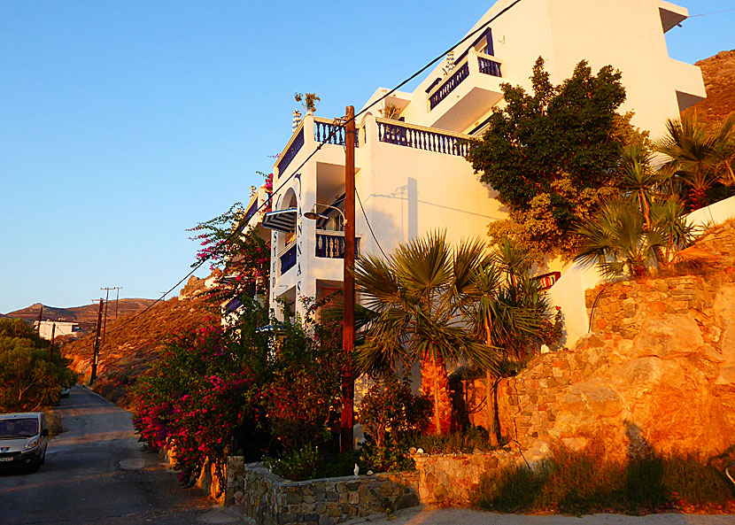 Annas Studios i Livadia på Tilos.