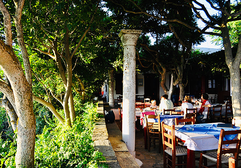 Taverna Drosia i Ktikados på Tinos.