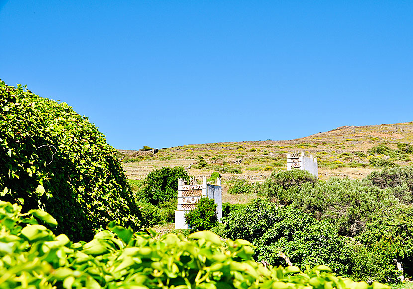 Vandra bland duvslag på Tinos.