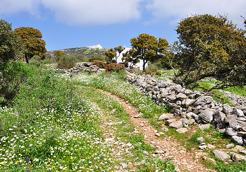 Agios Theologos Monastery. Amorgos.