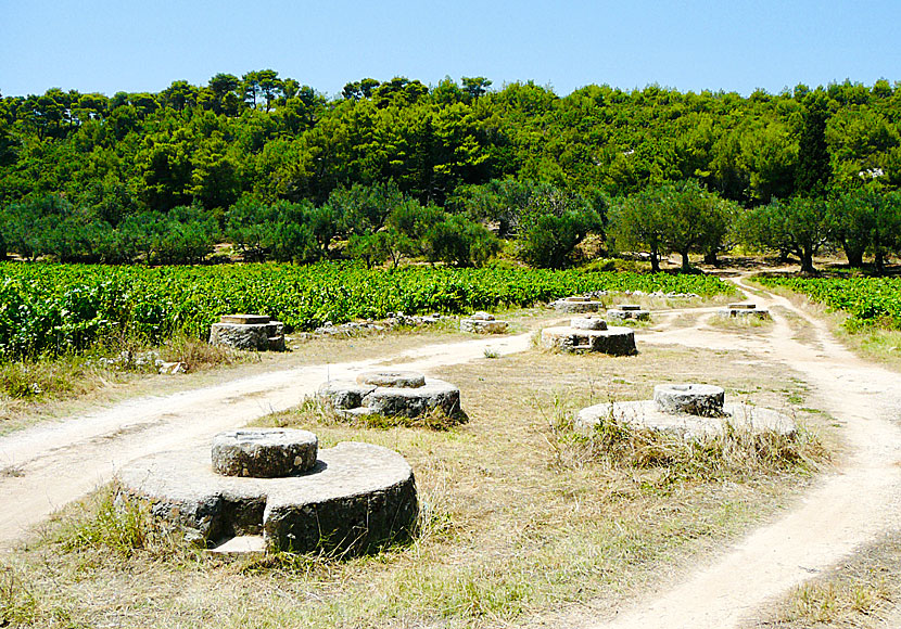 Vandra mellan bergsbyarna på Zakynthos.