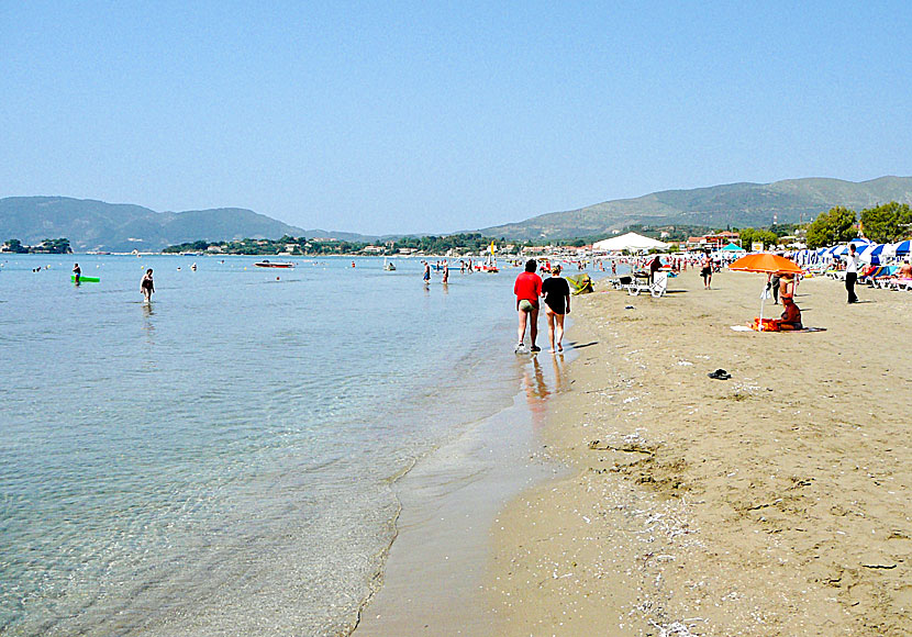 Zakynthos bästa stränder. Laganas beach.