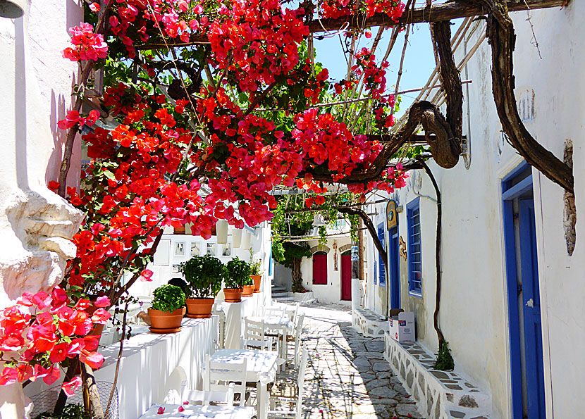 Chora. Amorgos.