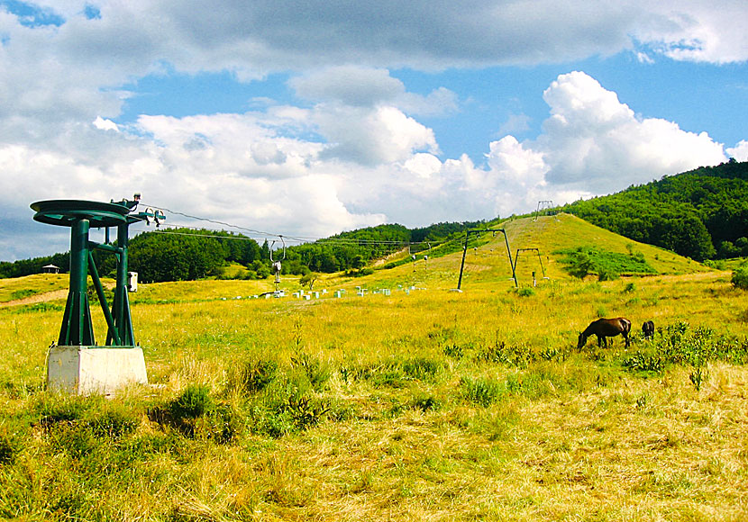 Skidbackarna utanför Metsovo i Grekland.