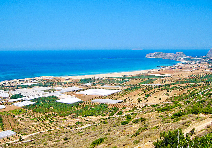 Växthus ovanför stranden i Falassarna på Kreta.