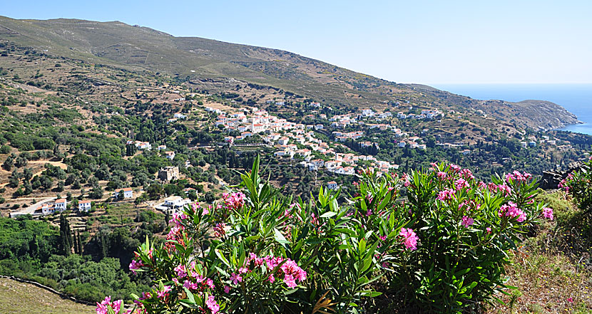 Stenies. Andros.