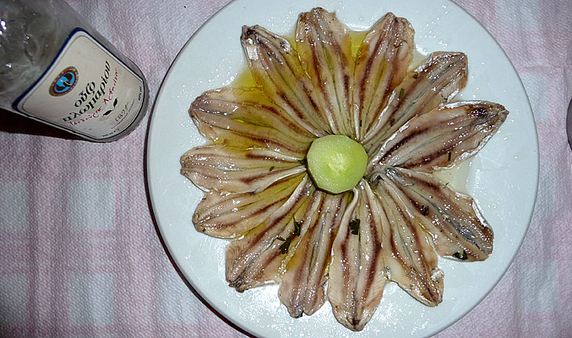 Gavros marinatos. Plomari ouzo.  Taverna Akrogiali.  Patitiri. Alonissos.