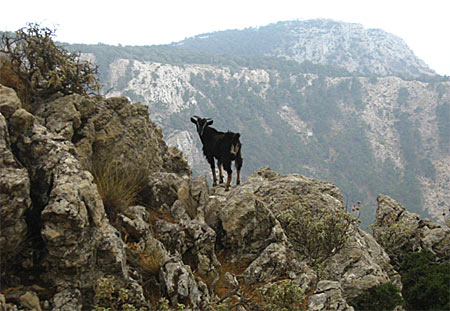 Kali Limni. Karpathos.