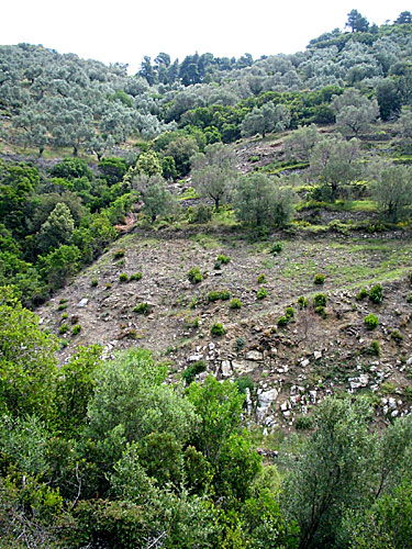 Alonissos. Vandra.