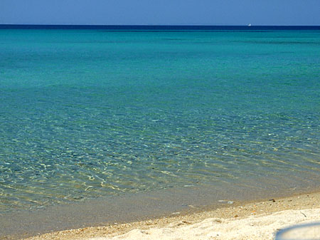 Halkidiki. Kalogria Beach..