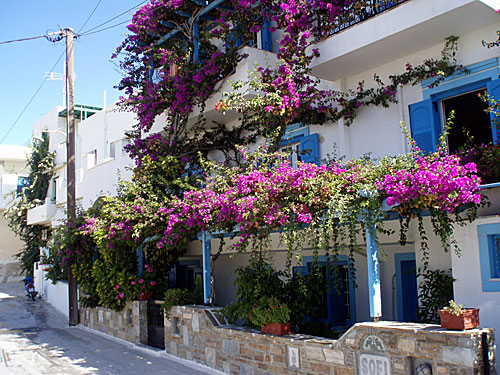 Pension Sofi. Naxos.