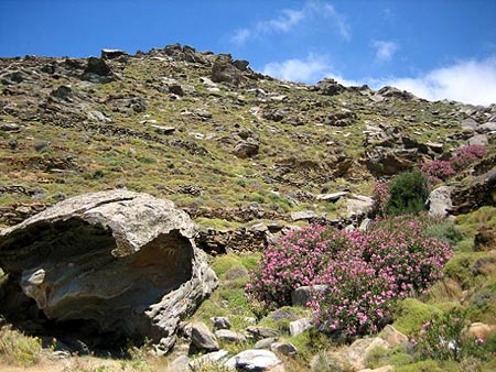 Kardiani. Tinos.