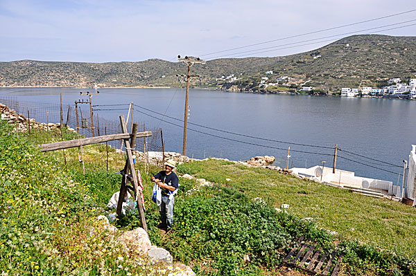 Katapola. Amorgos.