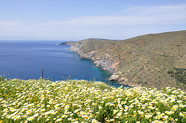 Lefkes. Amorgos.