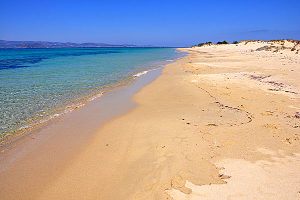 Plaka beach. Naxos.