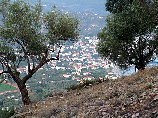 Utsikt över Skopelos stad.