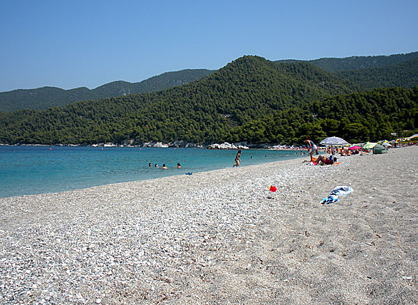 Milia. Skopelos.