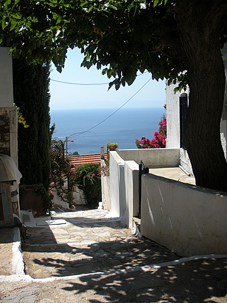 Alonissos.