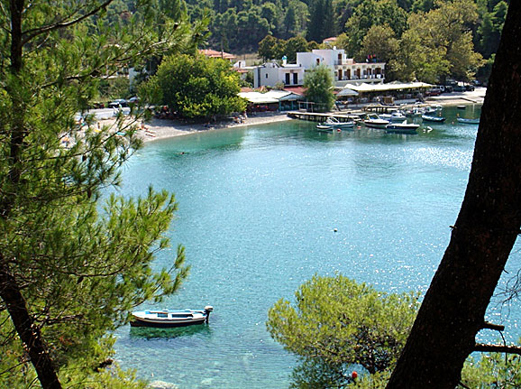 Agnontas. Skopelos.