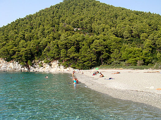 Kastani. Skopelos. 