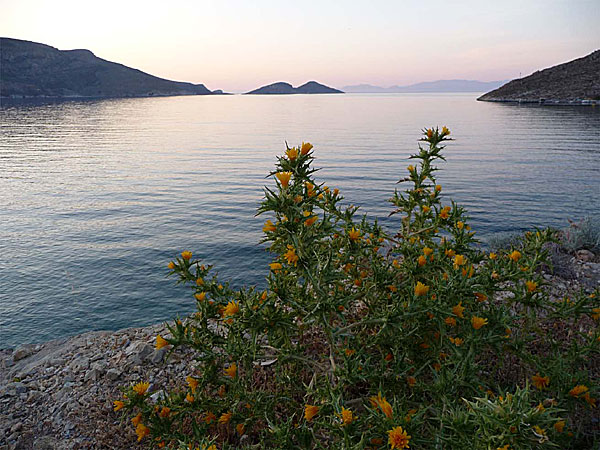 Livadiabukten i kvällssol. Tilos.