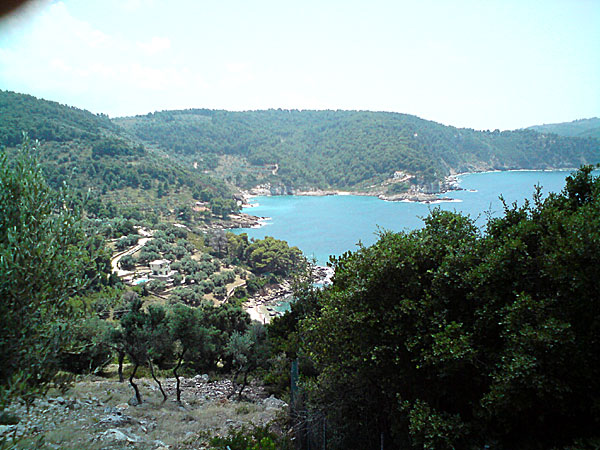 Meghali Ammos beach på Alonissos.