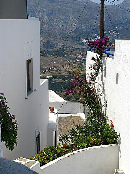 Tholaria. Amorgos.