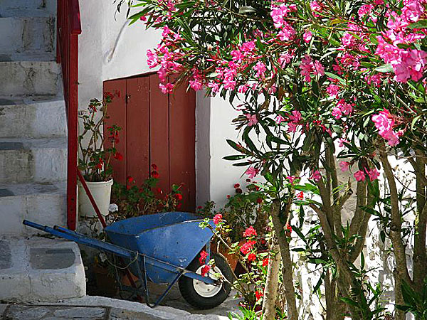 Chora. Amorgos.