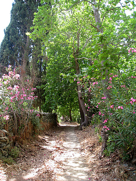 Pano Potamia via Mesi Potamia till Kato Potamia. Naxos.