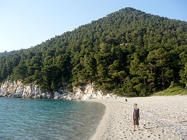 Stranden på Skopelos tidig kväll.