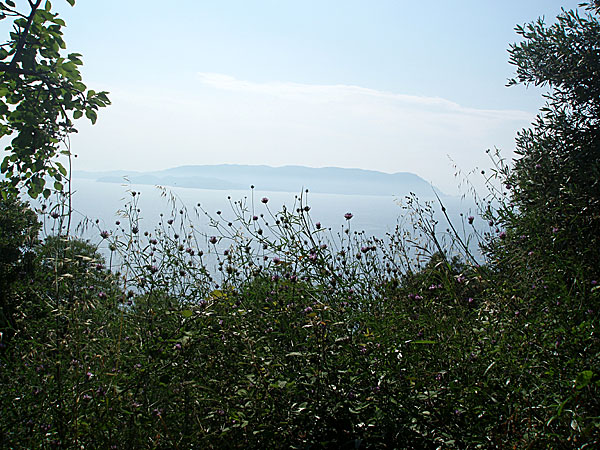 En av alla vackra utsikter längs vägen på Skopelos.