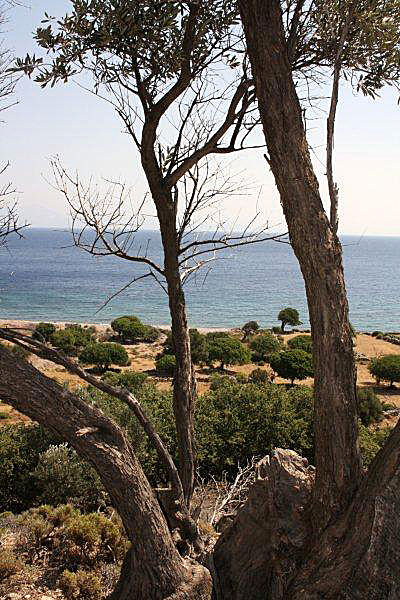 Vandra till Lethra beach på Tilos.