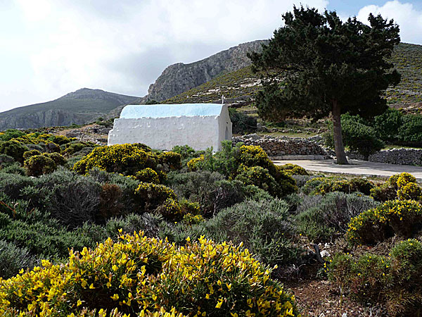 Tilos. Det lilla kapellet Agios Ioannis ovanför Livadia.