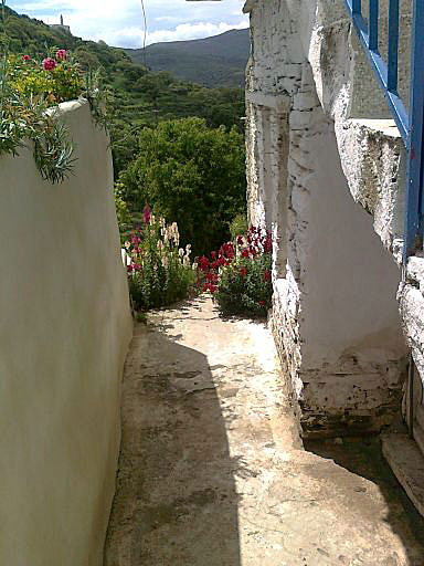 Tinos. Agapi.