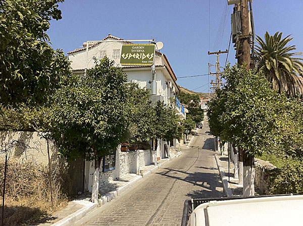 Esperides i Pythagorion. Samos.