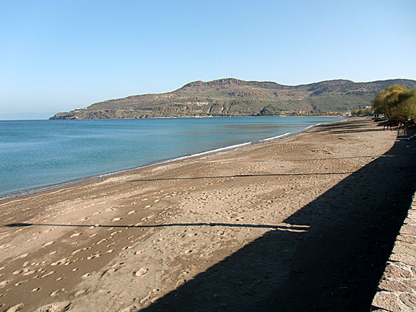 Petra beach på Lesbos i mars.