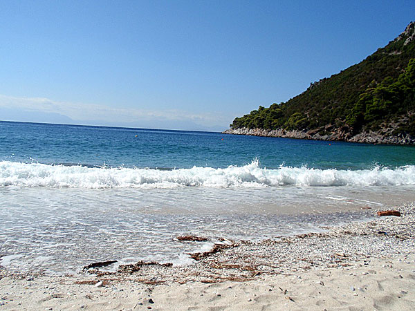 Hovolo Beach. Skopelos.