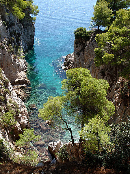 Amarandos. Skopelos.