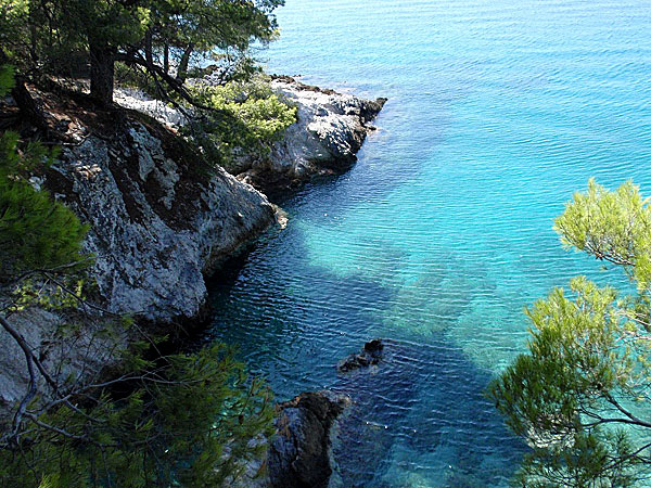 Amarandos. Skopelos.