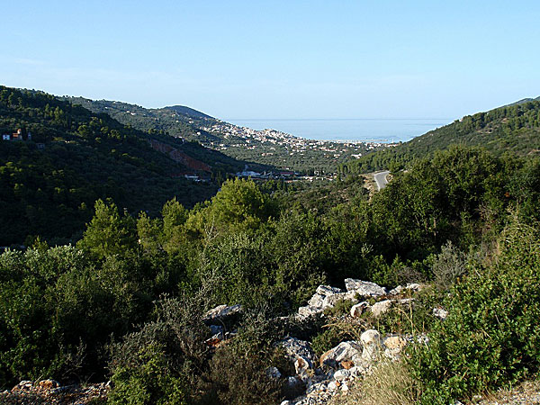 Skopelos är en helt fantastisk ö!