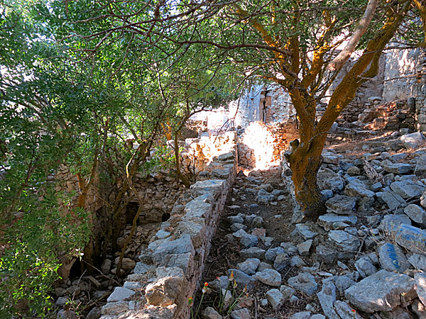 Mikro Chorio. Tilos.