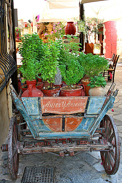 Chania. Kreta. Örter och kryddor