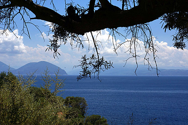 Vägen till Agiofili beach på Lefkas.